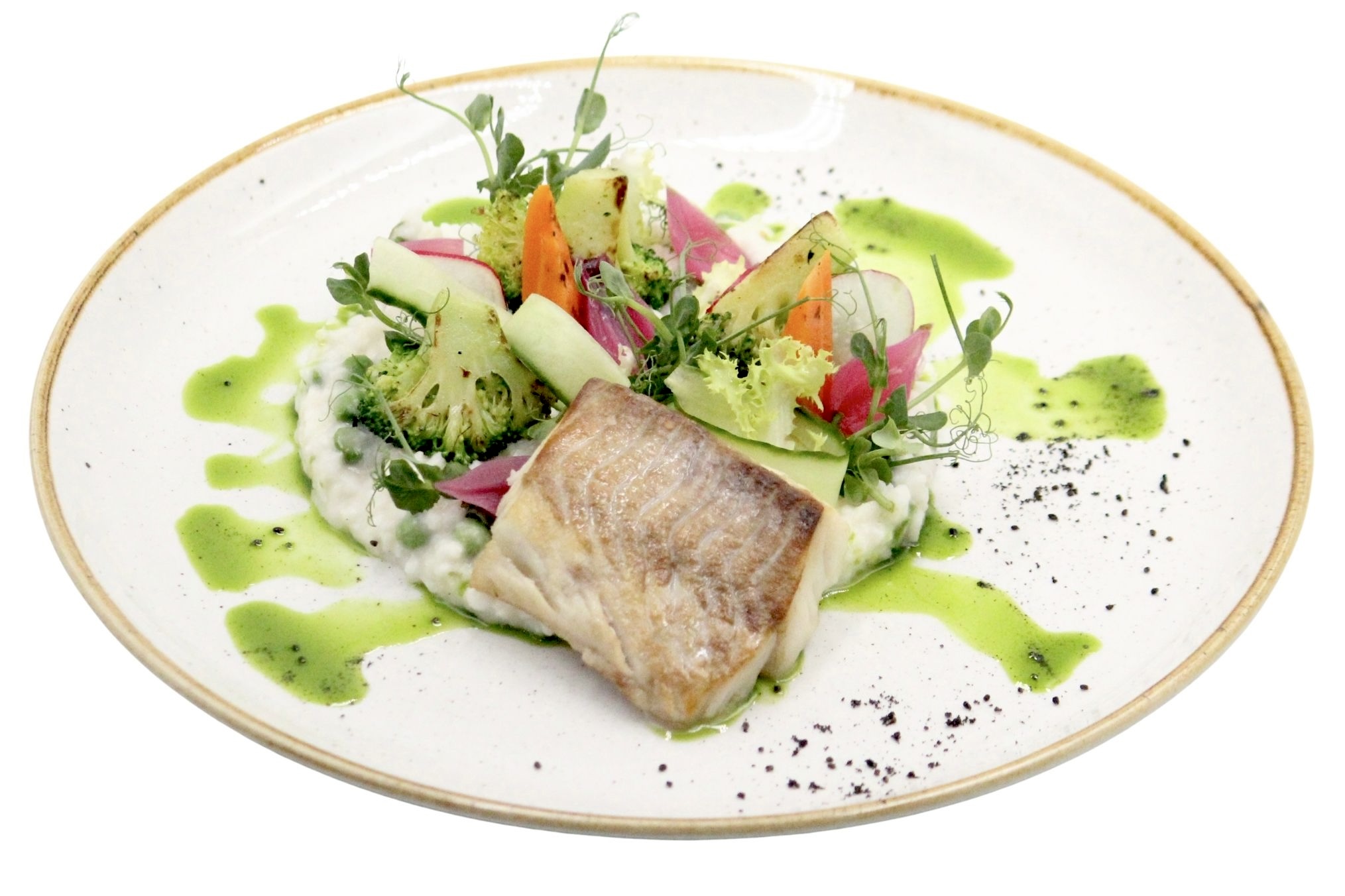 Untitled design – 1 Untitled design – 1